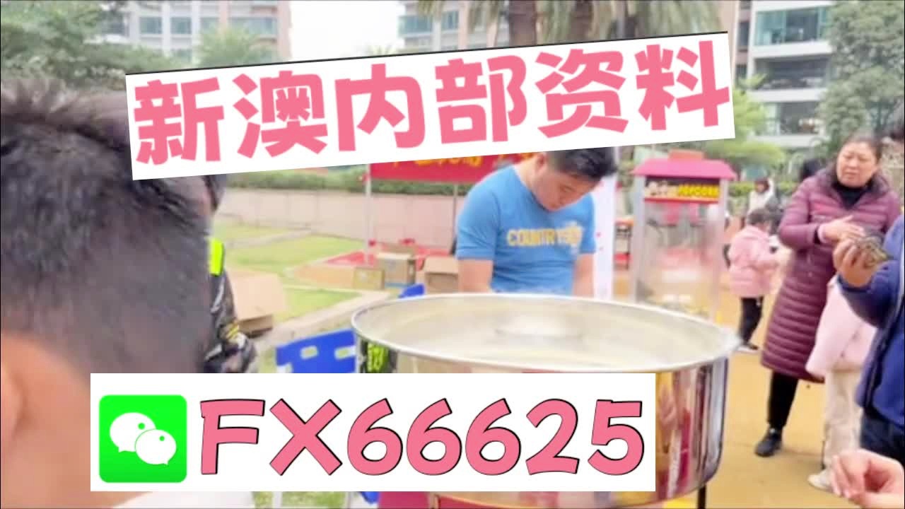 新奧2025資料大全最新版本，全面解析與深度洞察，新奧2025資料大全最新版，全面解析與深度洞察報(bào)告