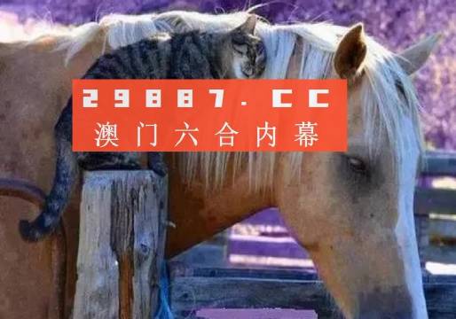 澳門一肖一碼一待一中四不像，探索與解析，澳門一肖一碼一待一中四不像，深度解析與探索