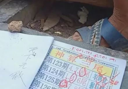 香港中特期期準(zhǔn)資料，深度解析與探索，香港中特期期準(zhǔn)資料深度解析與探索報告