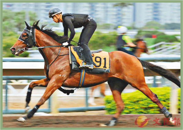 香港賽馬，探索數(shù)字背后的激情與榮耀，香港賽馬，數(shù)字背后的激情與榮耀之旅