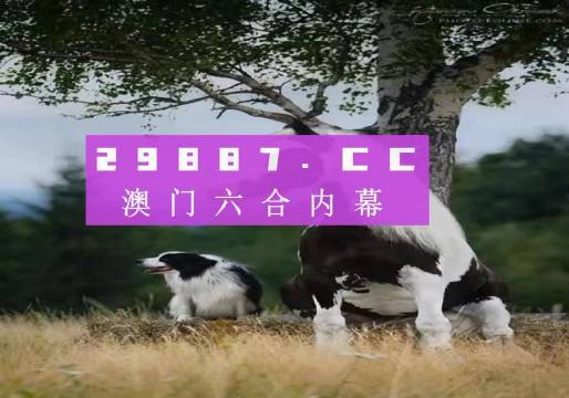 澳門天天空彩官網(wǎng)資料，探索彩票世界的門戶，澳門天天空彩官網(wǎng)資料，彩票世界探索門戶