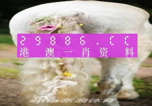 澳門羊了個羊與各大圖庫的資料揭秘，2023年澳門今晚必中一肖一碼永久免費資料庫大解密，澳門羊了個羊與資料庫揭秘，2023年必中一肖一碼永久免費資料大解密
