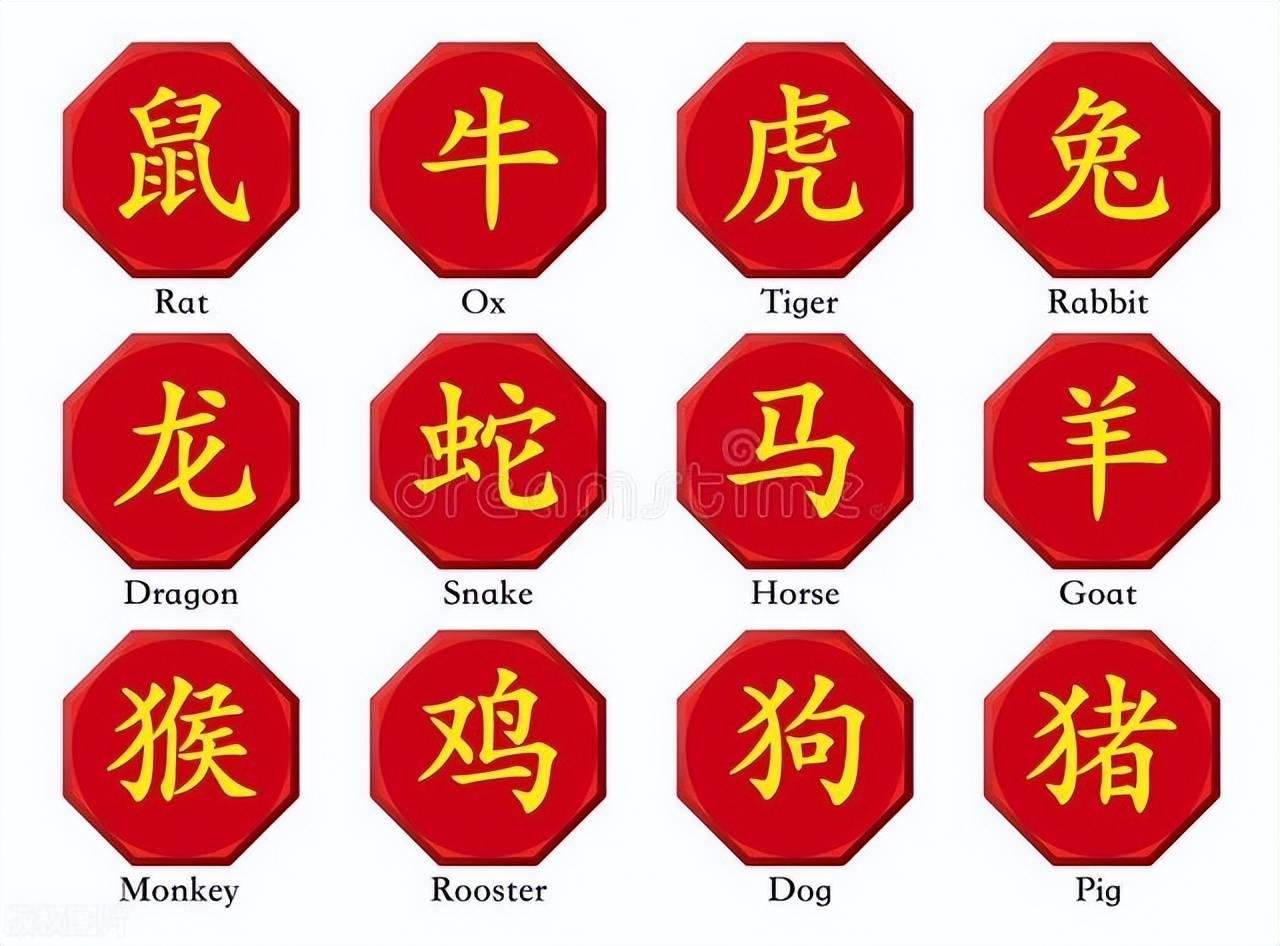 新澳特碼，羊?；⒏鲾?shù)10——揭秘背后的數(shù)字奧秘，揭秘新澳特碼數(shù)字奧秘，羊?；⒏鲾?shù)背后的秘密