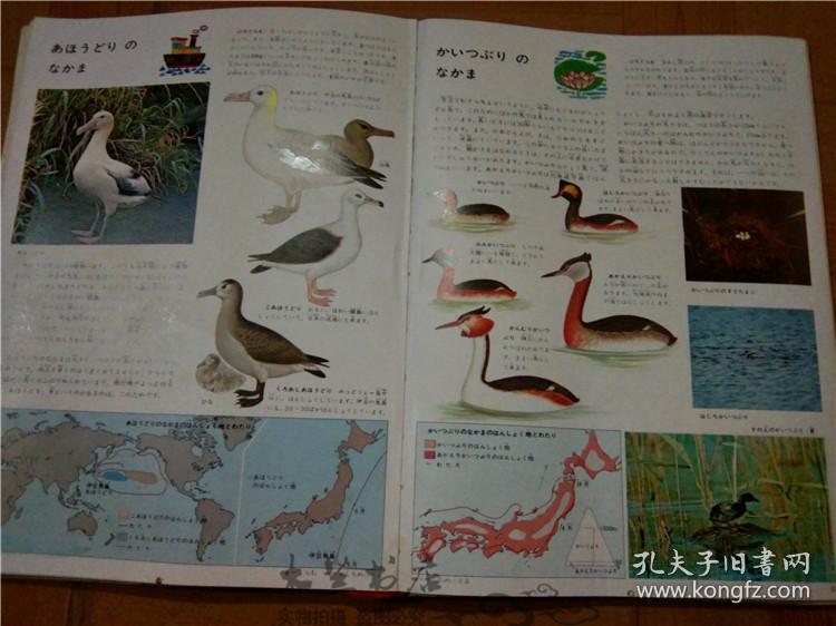 今日正版跑狗圖分享，探索7777788888跑狗圖的魅力，今日正版跑狗圖分享，探索魅力十足的777778跑狗圖