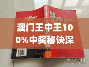 新澳門王中王期期中，探索與解析，新澳門王中王期期中，深度探索與解析
