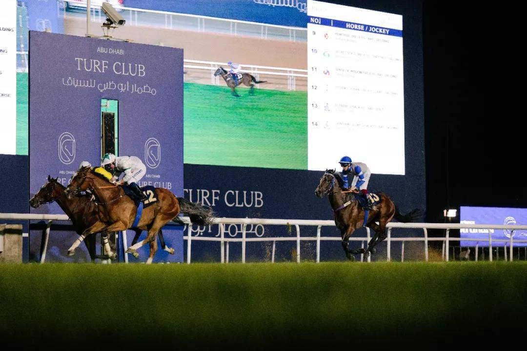澳門特馬今晚開獎一，探索彩票背后的秘密與期待，澳門特馬今晚開獎，揭秘彩票背后的秘密與期待大獎的激動心情
