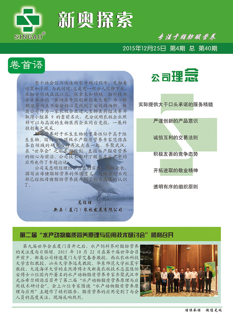 2025新澳正版資料查詢指南，2025新澳正版資料查詢手冊