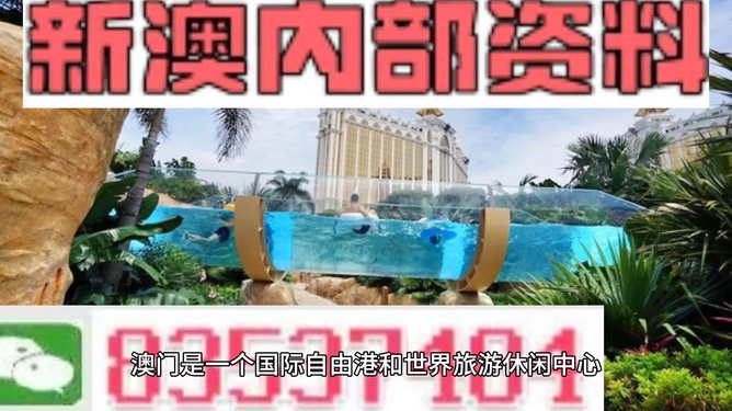 新澳的資料去哪里找——全面指南，新澳資料全攻略，尋找資料的途徑與指南