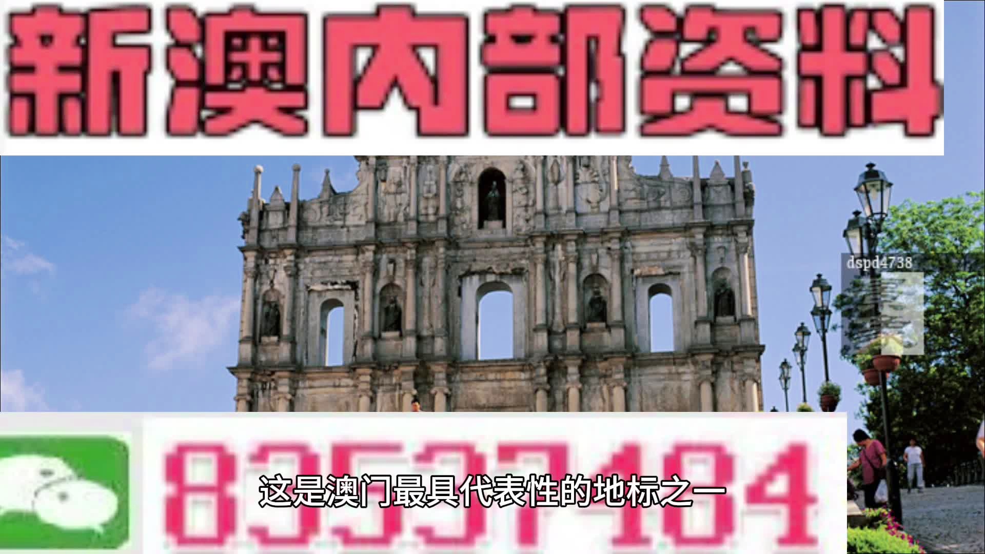 2025新澳今晚資料揭秘，12生肖運勢與特點展望，2025新澳今晚資料揭秘，揭秘十二生肖運勢展望與特點