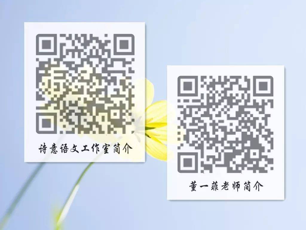 一碼一肖一特一，揭秘背后的秘密與獨特之處，揭秘一碼一肖一特一的獨特之處與背后秘密