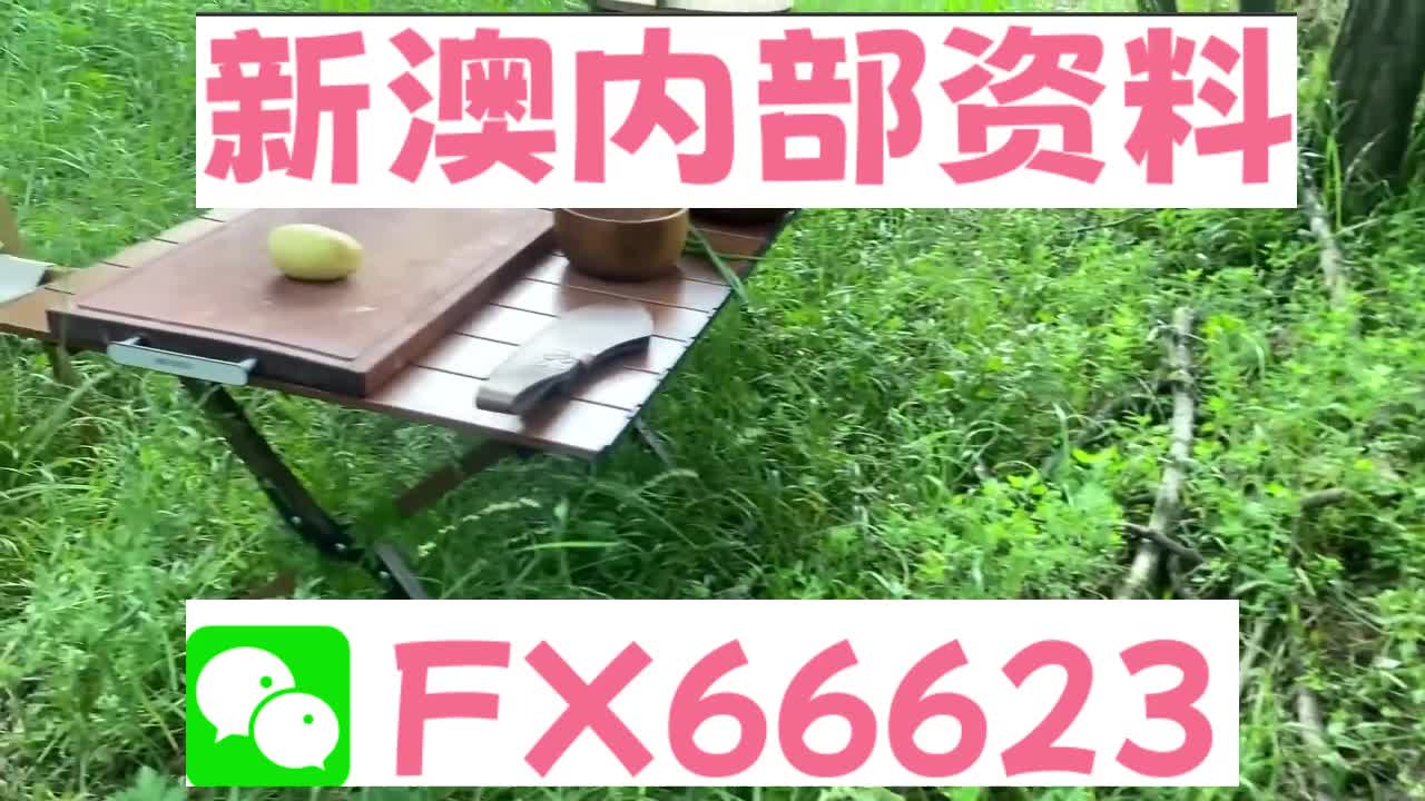 新奧特碼走勢圖解析與預(yù)測，新奧特碼走勢圖解析與預(yù)測，未來趨勢探討