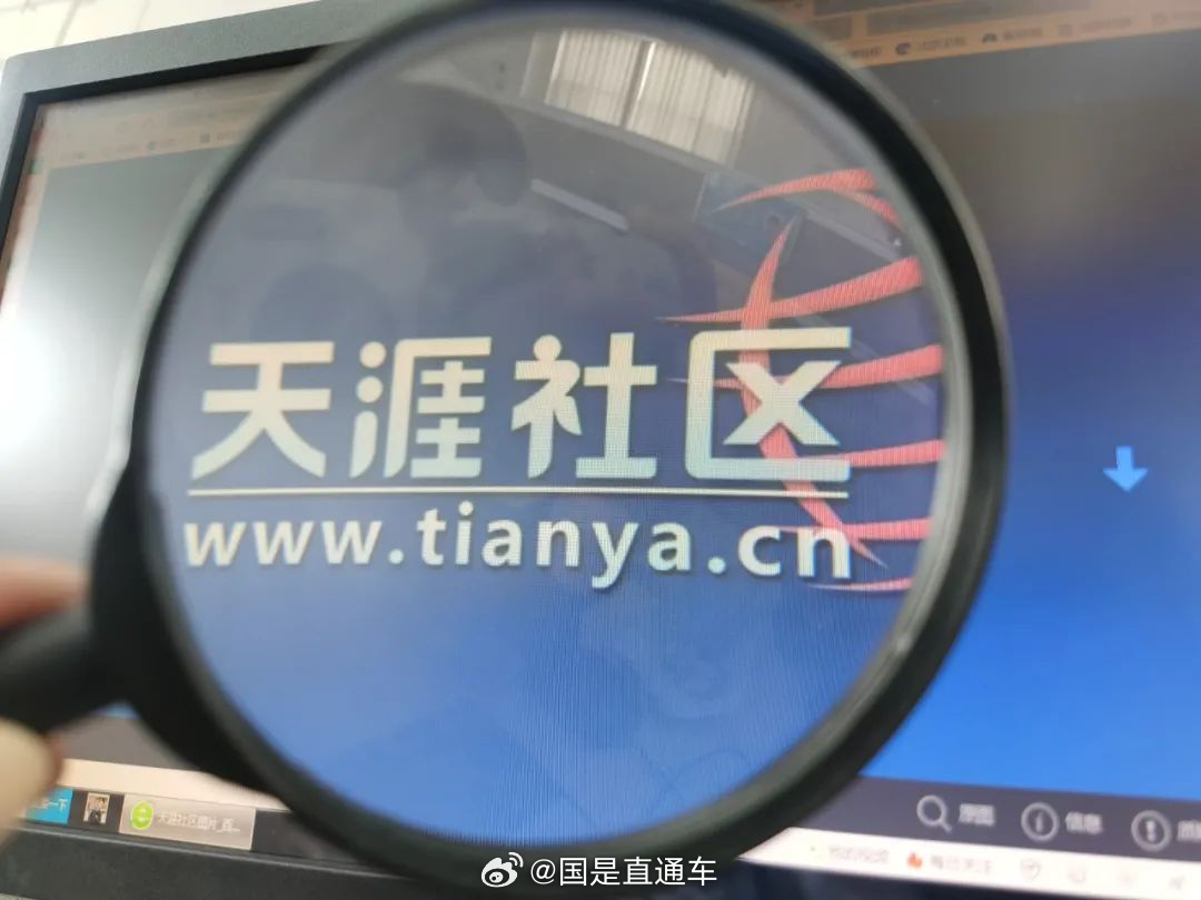 天涯國際觀察，全球視野下的深度分析與洞察，全球深度洞察，天涯國際觀察分析