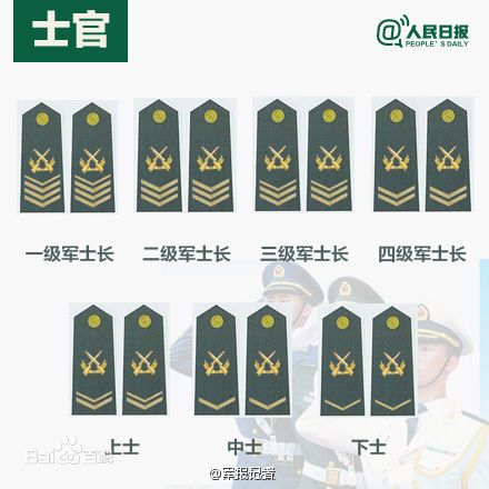 全球各國軍士長軍銜對照表及其重要性，全球各國軍士長軍銜對照表，揭示其重要性
