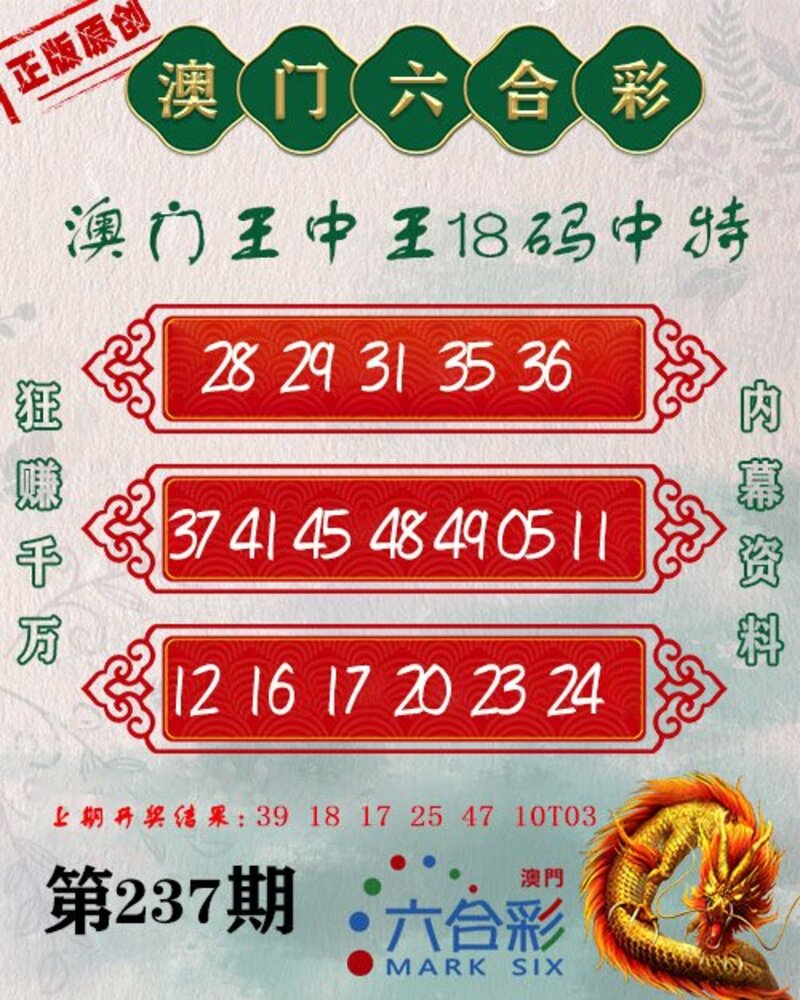 新澳門王中王期期中，探索與解析，新澳門王中王期期中，深度探索與解析