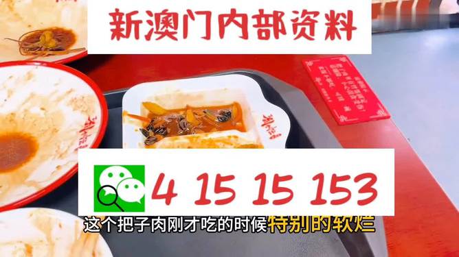 澳門王中王六碼新澳門，探索與解析，澳門王中王六碼新澳門，深度探索與解析