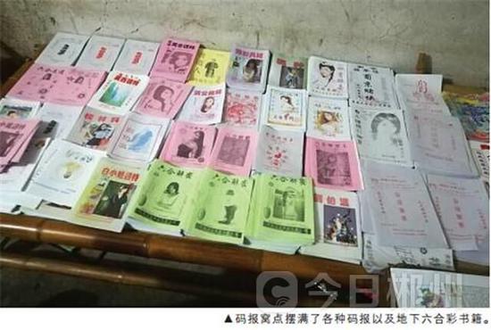 揭秘六肖期期中特期期期準(zhǔn)的奧秘，全面解析與策略分享，揭秘六肖期期中的奧秘，全面解析與策略分享