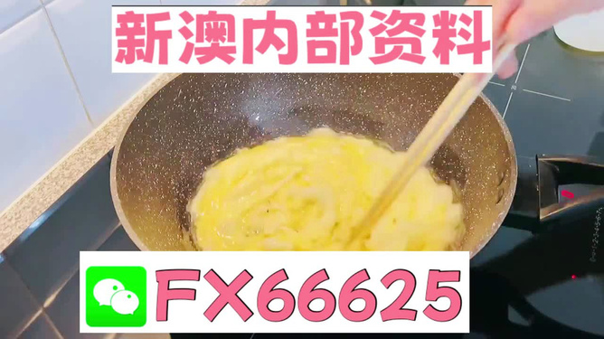 澳門(mén)九點(diǎn)半9點(diǎn)半網(wǎng)站——探索與體驗(yàn)，澳門(mén)九點(diǎn)半網(wǎng)站，探索與體驗(yàn)之旅