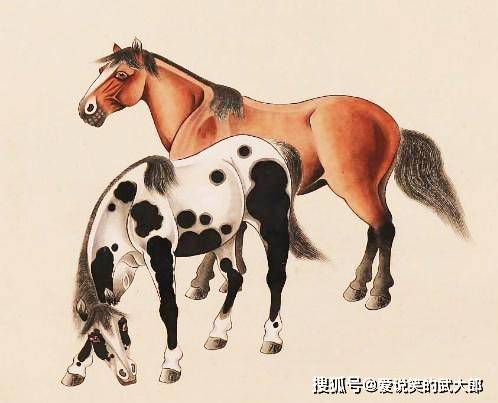 香港四不像一肖生肖圖，揭秘背后的神秘文化，香港四不像一肖生肖圖，神秘文化背后的揭秘