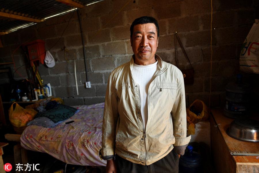 博科圣地組織，深度解析與理解，博科圣地組織深度解析與探究