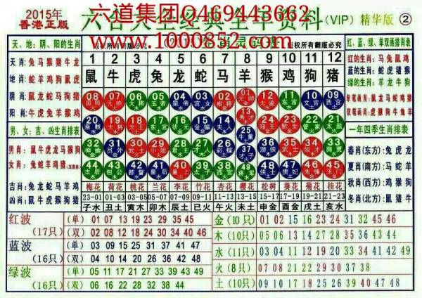揭秘2024十二生肖49碼表——完整指南，揭秘十二生肖49碼表全攻略，2024年最新版指南
