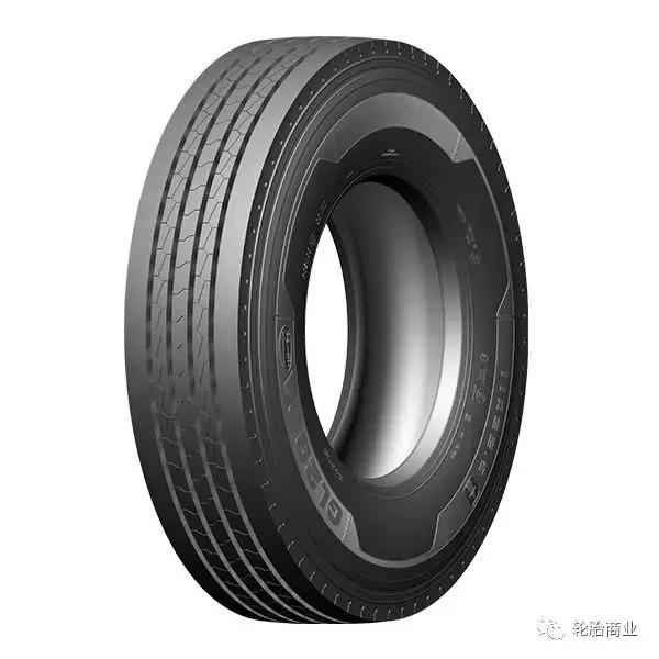王中王295期指一生肖，揭秘生肖運勢與預測背后的秘密，揭秘生肖運勢預測，王中王295期生肖運勢背后的秘密探索
