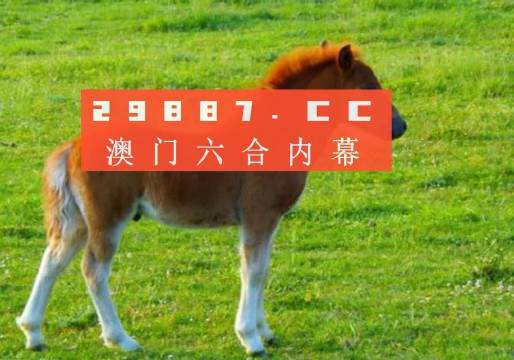 澳門答家婆一肖一馬一中一特，揭秘背后的秘密與獨特文化魅力，澳門文化魅力深度解析，答家婆一肖一馬一中一特的獨特傳統(tǒng)與秘密
