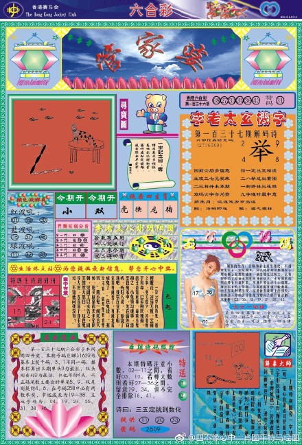 王中王四不像必出一肖圖——揭秘彩票背后的秘密，揭秘彩票背后的秘密，王中王四不像必出一肖圖的真相探索