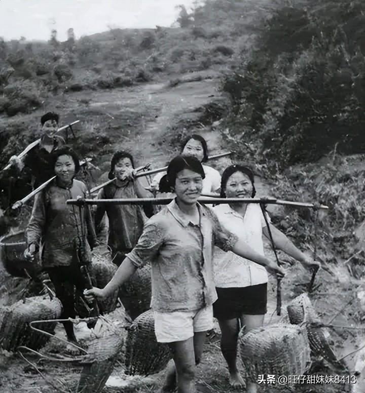關(guān)于49圖庫圖片資料的專業(yè)解析與探索，49圖庫圖片資料深度解析與探索