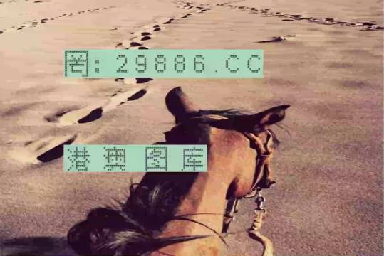 香港特馬資料王中王24期，深度解析與探索，香港特馬資料王中王深度解析與探索，第24期探索之旅