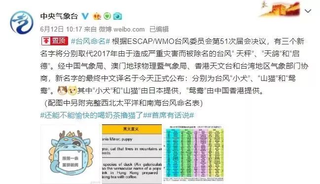 新澳門必中三肖三碼三期必開劉伯，揭秘彩票背后的秘密與策略，揭秘彩票背后的秘密與策略，劉伯的新澳門三期必開三肖三碼預(yù)測技巧