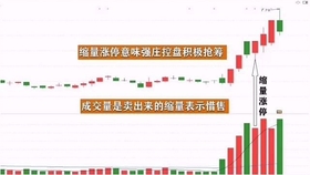 王中王一肖平碼，揭秘背后的故事與SEO策略，王中王一肖平碼背后的故事與SEO策略揭秘
