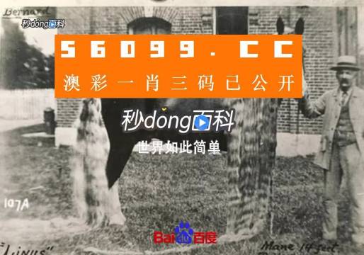 澳門(mén)王中王心水王中王，探索與解析，澳門(mén)王中王心水奧秘，深度探索與解析