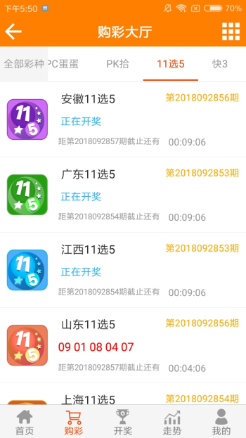 王中王黃金一肖二碼資料，深度解析與SEO優(yōu)化，王中王黃金一肖二碼資料深度解析與SEO優(yōu)化技巧