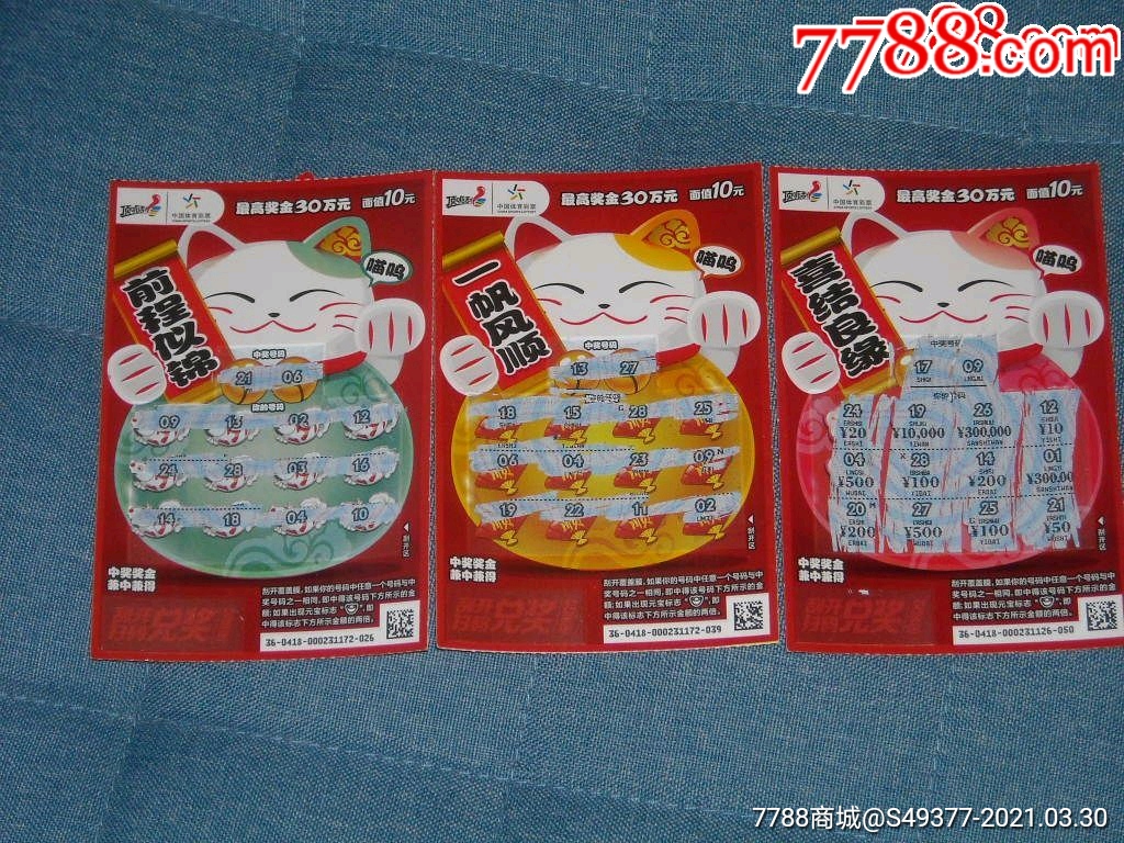 揭秘王中王資料一肖中特y招財(cái)貓，真相與秘密，揭秘王中王資料與招財(cái)貓，真相與秘密探索