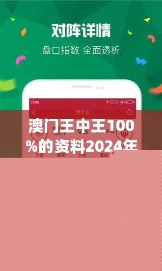 王中王網(wǎng)站一肖，探索與SEO優(yōu)化策略，王中王網(wǎng)站一肖，深度探索與SEO優(yōu)化策略實(shí)踐