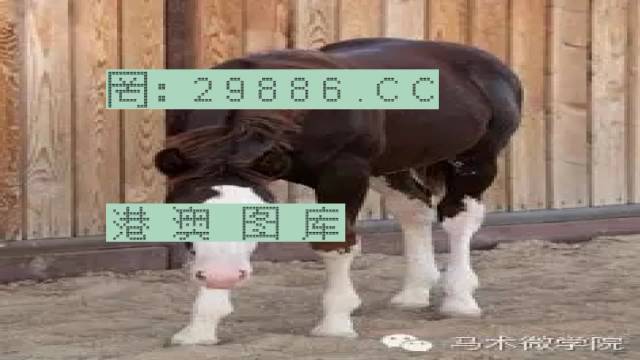 揭秘446999一肖中特馬之秘密，掌握中獎(jiǎng)玄機(jī)！，揭秘特馬中獎(jiǎng)玄機(jī)，446999一肖中的秘密大揭秘！