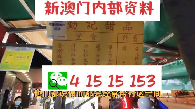 新澳門單雙肖期期，探索與解析，澳門單雙肖期期探索與解析指南