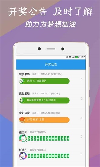 澳門今一必中一肖一碼一肖，揭秘彩票背后的秘密與策略，揭秘彩票背后的秘密與策略，澳門今一必中一肖一碼一肖探秘