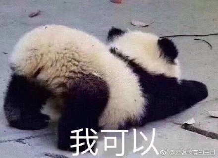 澳門精準四不像最新正版，揭秘與探索，澳門精準四不像揭秘與探索最新正版資訊