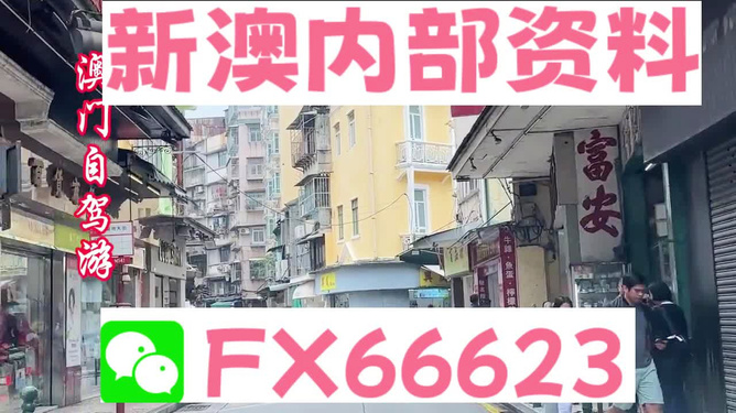 新澳精準(zhǔn)資料免費(fèi)提供，一站式獲取優(yōu)質(zhì)信息資源的指南，新澳精準(zhǔn)資料免費(fèi)獲取，一站式優(yōu)質(zhì)信息資源指南