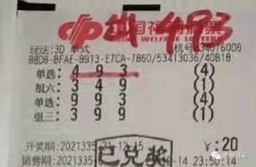 新奧門(mén)彩天天開(kāi)獎(jiǎng)資料一網(wǎng)羅萬(wàn)象，揭秘彩票奧秘，揭秘彩票奧秘，新奧門(mén)彩天天開(kāi)獎(jiǎng)資料一網(wǎng)羅萬(wàn)象