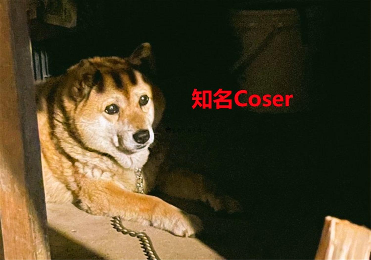 豬狗同行王中王，猜一肖，深度解析與SEO優(yōu)化，豬狗同行王中王猜謎解析與SEO優(yōu)化技巧，深度解析揭秘生肖之謎