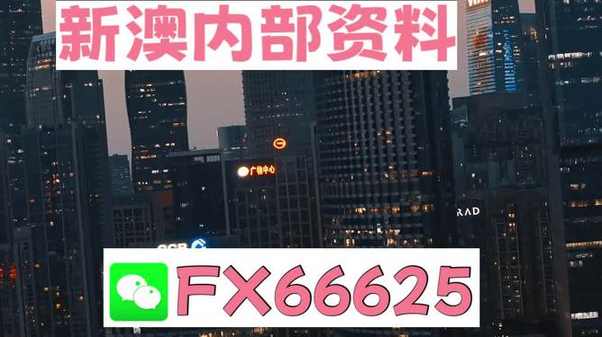 澳門跑狗，探索與解析，澳門跑狗，探索與解析之道