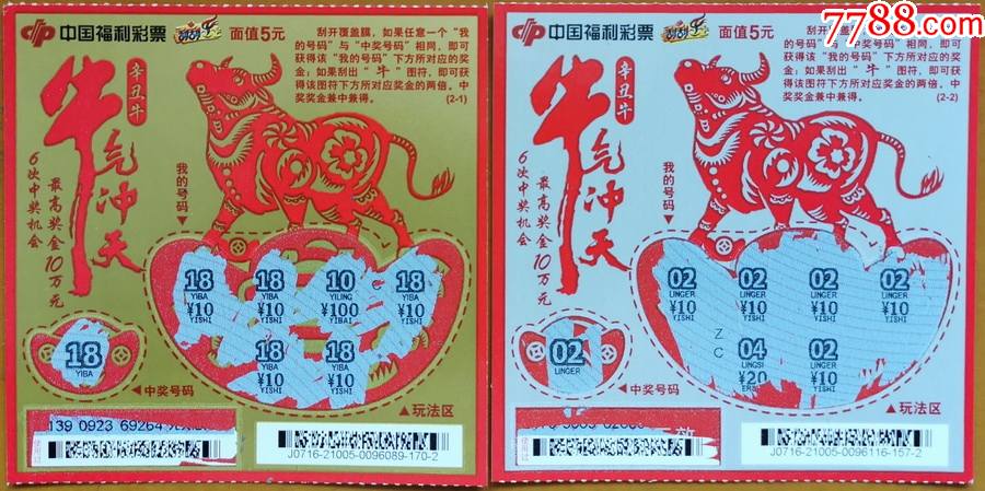 王中王19期指一生肖——探尋背后的奧秘與意義，王中王19期指一生肖，背后的奧秘與意義探尋