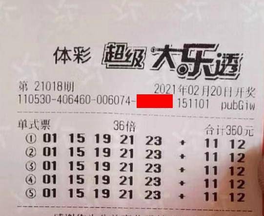 王中王018期指一生肖，揭秘背后的奧秘與意義，揭秘生肖奧秘，王中王生肖背后的意義與秘密