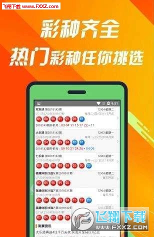 揭秘660678C0m王中王三肖一碼，真相與奧秘，揭秘，王中王三肖一碼真相與奧秘探索