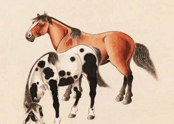 馬一王中王特平一肖圖，深度解析與SEO優(yōu)化策略，深度解析馬一王中王特平肖圖，SEO優(yōu)化策略探討