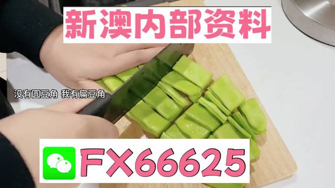 新澳精選資料免費(fèi)提供，探索優(yōu)質(zhì)資源的海洋，新澳精選資料免費(fèi)探索，優(yōu)質(zhì)資源海洋的開啟