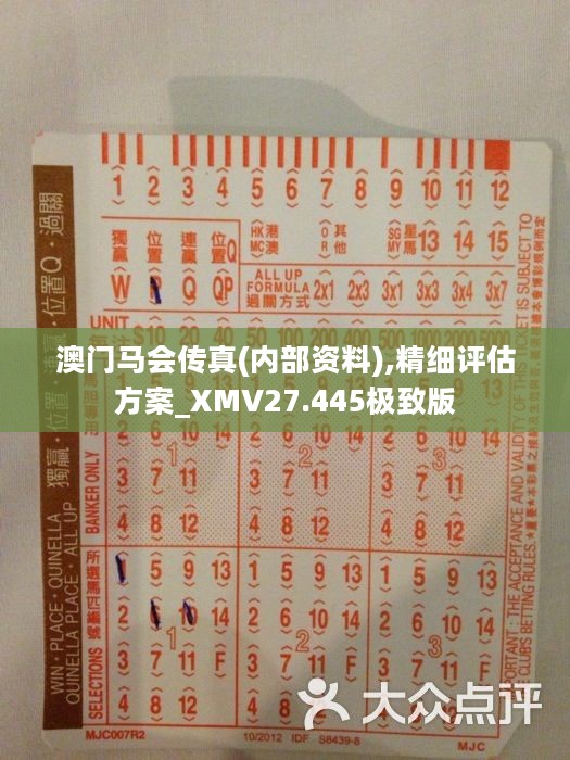 馬會傳真正版，探索正版馬會文化的魅力與價值，正版馬會文化的魅力與價值探索
