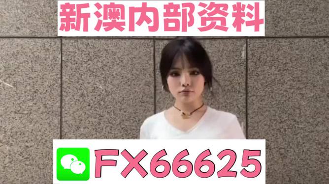 澳門正版資料大全完整版，探索與揭秘2025年澳門正版資料的世界，澳門正版資料大全揭秘，探索未來至2025年的奧秘世界